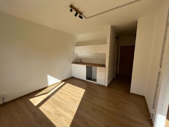 kuchyň - Pronájem bytu 1+1 v osobním vlastnictví 37 m², Ústí nad Labem 