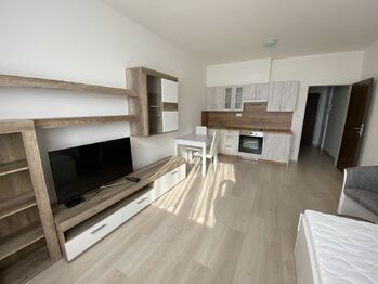 Pronájem bytu 1+kk v osobním vlastnictví 24 m², Plzeň