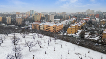 Pronájem bytu 2+kk v družstevním vlastnictví 65 m², Praha 3 - Žižkov