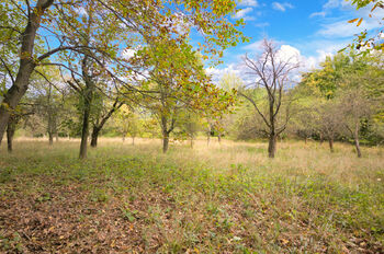 Prodej pozemku 1860 m², Březnice