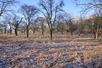 Prodej pozemku 1860 m², Březnice