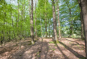 Prodej pozemku 1860 m², Březnice