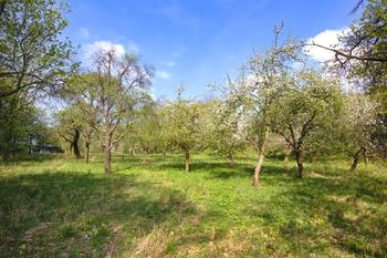 Prodej pozemku 1860 m², Březnice