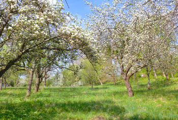 Prodej pozemku 1860 m², Březnice