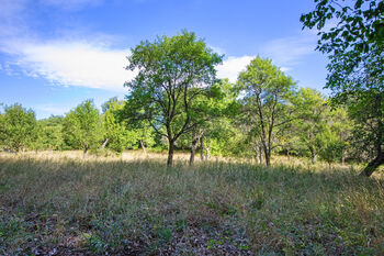 Prodej pozemku 1697 m², Březnice