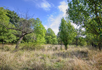 Prodej pozemku 1697 m², Březnice