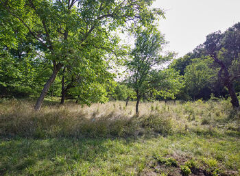 Prodej pozemku 1697 m², Březnice