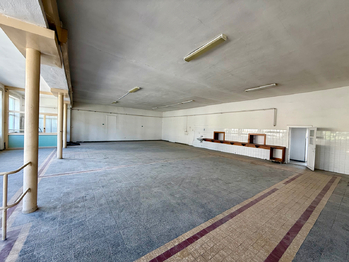 Pronájem výrobních prostor 302 m², Rousínov