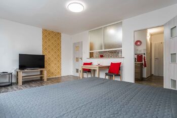 Pronájem bytu 1+1 v osobním vlastnictví 34 m², Meziboří