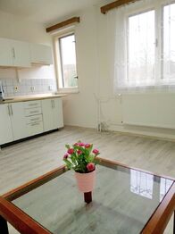 Pronájem bytu 1+kk v osobním vlastnictví 27 m², Olešnice v Orlických horách