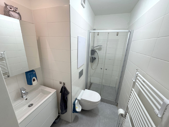 koupelna s WC - Prodej bytu 2+1 v osobním vlastnictví 49 m², Plzeň