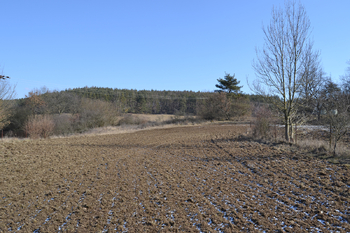 Prodej pozemku 1726 m², Kamýk nad Vltavou