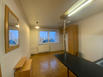 Pronájem bytu 1+1 v družstevním vlastnictví 39 m², Klášterec nad Ohří