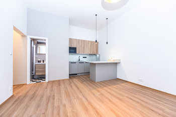 Pronájem bytu 1+1 v osobním vlastnictví 35 m², Praha 3 - Žižkov