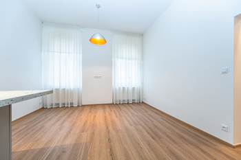 Pronájem bytu 1+1 v osobním vlastnictví 35 m², Praha 3 - Žižkov