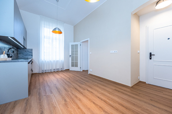 Pronájem bytu 1+1 v osobním vlastnictví 31 m², Praha 3 - Žižkov