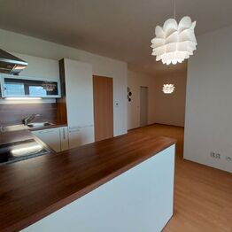 Pronájem bytu 1+kk v osobním vlastnictví 46 m², Olomouc