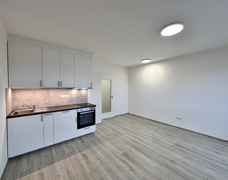 Pronájem bytu 1+kk v osobním vlastnictví 33 m², Kladno