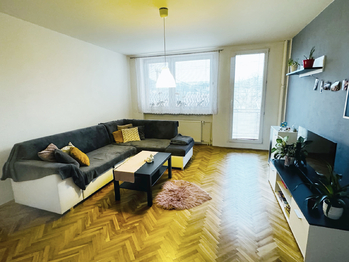 Prodej bytu 3+1 v osobním vlastnictví 89 m², Nemochovice