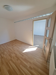 Pronájem bytu 2+1 v osobním vlastnictví 61 m², Bechyně