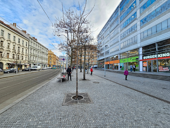 Pronájem bytu 1+kk v osobním vlastnictví 28 m², Praha 5 - Smíchov