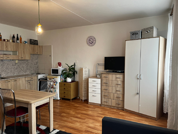 Prodej bytu 1+kk v osobním vlastnictví 31 m², Plzeň