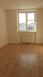 Pronájem bytu 1+1 v osobním vlastnictví 36 m², Bílovec