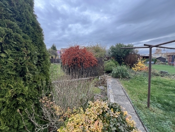 zahrada - Prodej domu 162 m², Solnice