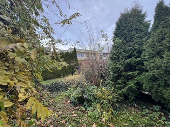 zahrada - Prodej domu 162 m², Solnice