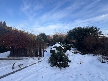 zahrada - Prodej domu 162 m², Solnice