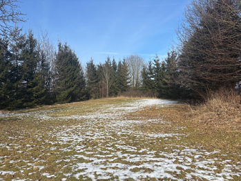 Prodej domu 395 m², Trstěnice