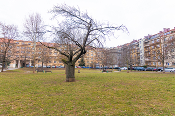 park Lotyšák - Prodej bytu 3+kk v osobním vlastnictví 84 m², Praha 6 - Bubeneč