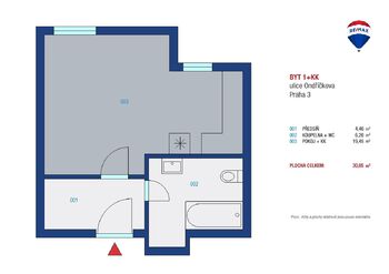 Pronájem bytu 1+kk v osobním vlastnictví 30 m², Praha 3 - Žižkov