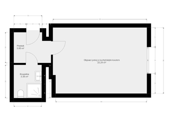 Pronájem bytu 1+kk v osobním vlastnictví 31 m², Praha 3 - Žižkov