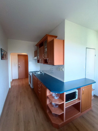 Pronájem bytu 2+1 v osobním vlastnictví 52 m², Karlovy Vary