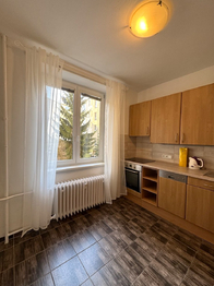 Pronájem bytu 2+1 v osobním vlastnictví 58 m², Karlovy Vary