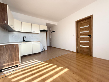 Prodej bytu 1+1 v družstevním vlastnictví 36 m², Bystřany