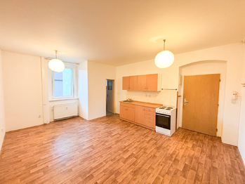 Pronájem bytu 2+kk v osobním vlastnictví 47 m², Plzeň