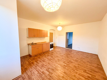 Pronájem bytu 2+kk v osobním vlastnictví 55 m², Plzeň