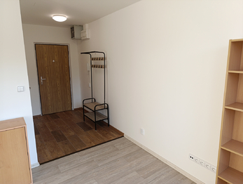 Pronájem bytu 1+kk v družstevním vlastnictví 33 m², Teplice