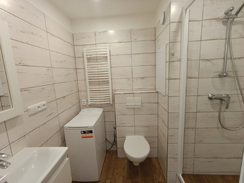 Pronájem bytu 1+kk v družstevním vlastnictví 33 m², Teplice