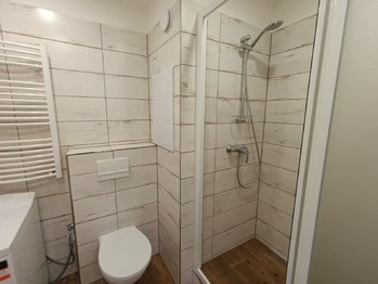 Pronájem bytu 1+kk v družstevním vlastnictví 33 m², Teplice