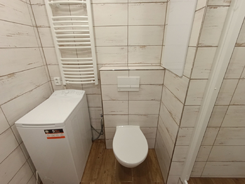 Pronájem bytu 1+kk v družstevním vlastnictví 33 m², Teplice