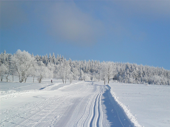 Prodej pozemku 2041 m², Kořenov