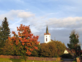 Prodej pozemku 2041 m², Kořenov