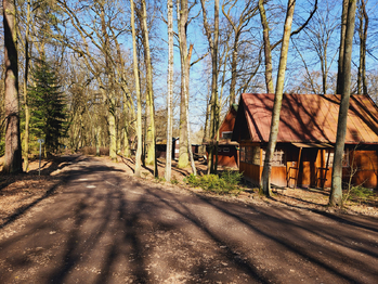 Prodej chaty / chalupy 42 m², Třebechovice pod Orebem