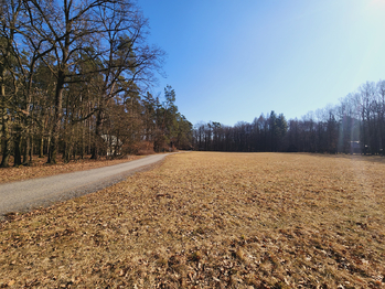 Prodej chaty / chalupy 42 m², Třebechovice pod Orebem