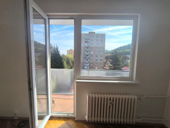 Pronájem bytu 2+1 v osobním vlastnictví 52 m², Karlovy Vary