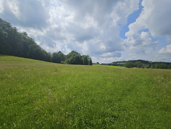 Prodej pozemku 8241 m², Hukvaldy