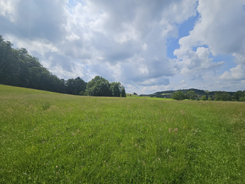 Prodej pozemku 8241 m², Hukvaldy